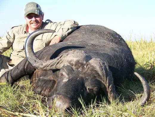Africa Dangerous Game Hunts — photograph from the Gunners Taxidermy gallery