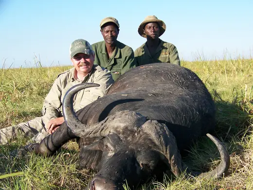 Africa Dangerous Game Hunts — photograph from the Gunners Taxidermy gallery