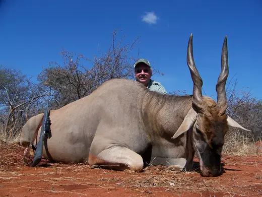 Africa Plains Game Hunts — photograph from the Gunners Taxidermy gallery