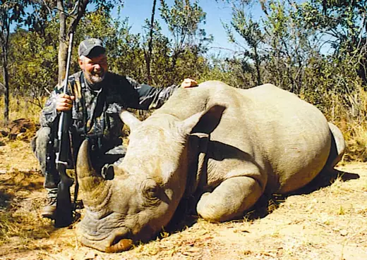 Bob Folkrod Rhino — Africa Dangerous Game Hunts at Gunners Taxidermy