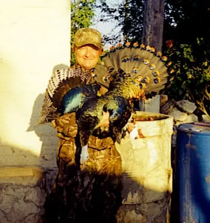 Dearinger Oscellated — Ocellated Turkey Hunts at Gunners Taxidermy