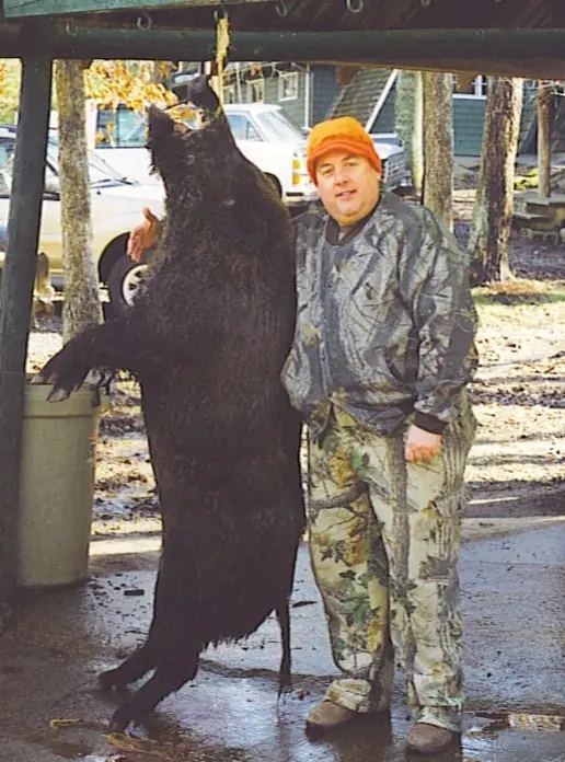 Foster Boar 1 — Exotic Hunts at Gunners Taxidermy