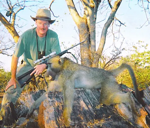 HW Baboon — Africa Plains Game Hunts at Gunners Taxidermy