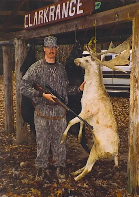 HW Fallow Deer — Exotic Hunts at Gunners Taxidermy