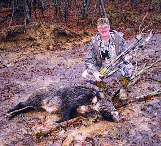 HW Wild Boar — Exotic Hunts at Gunners Taxidermy