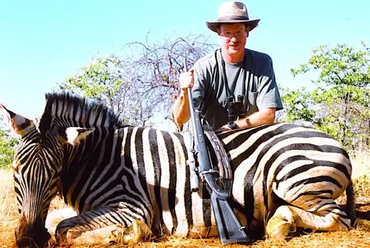 HW Zebra — Africa Plains Game Hunts at Gunners Taxidermy