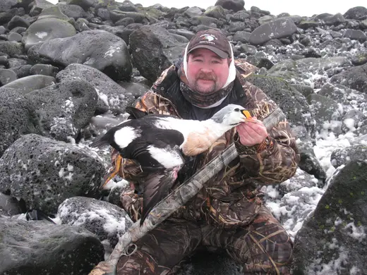Alaska Sea Duck Hunts — photograph from the Gunners Taxidermy gallery