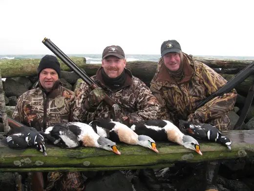 Alaska Sea Duck Hunts — photograph from the Gunners Taxidermy gallery
