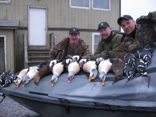 Alaska Sea Duck Hunts — photograph from the Gunners Taxidermy gallery