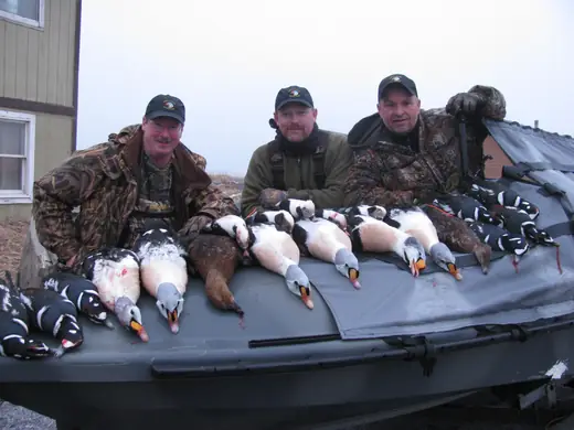 Alaska Sea Duck Hunts — photograph from the Gunners Taxidermy gallery