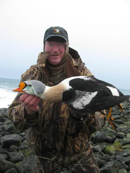 Alaska Sea Duck Hunts — photograph from the Gunners Taxidermy gallery
