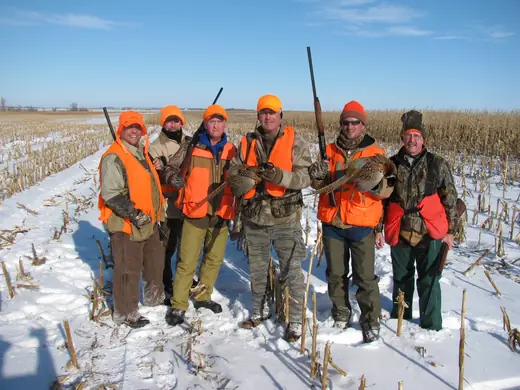 South Dakota Pheasant Hunt — photograph from the Gunners Taxidermy gallery