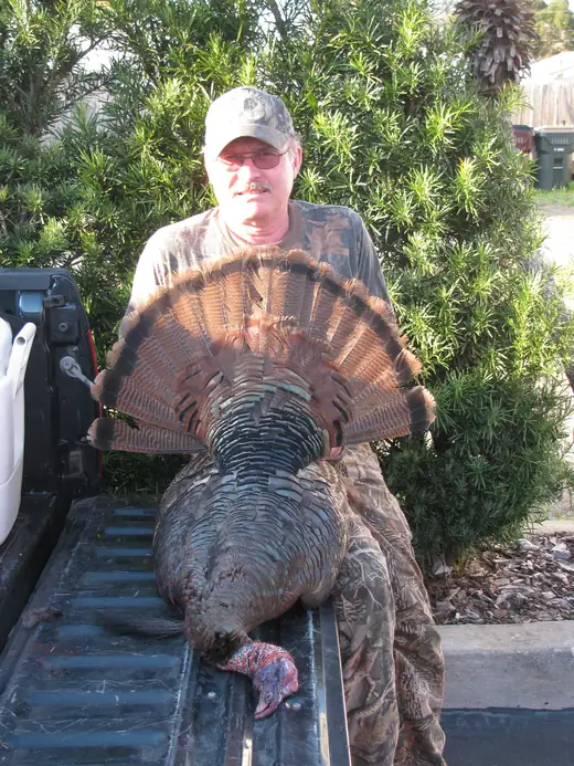 Osceola Turkey Hunts — photograph from the Gunners Taxidermy gallery