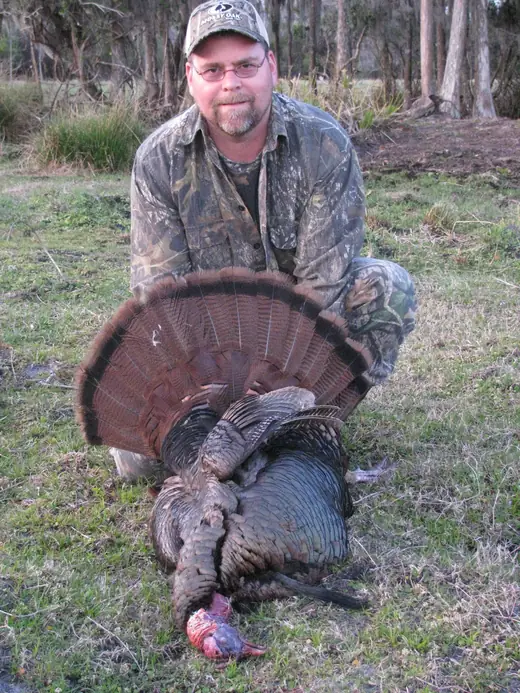 Osceola Turkey Hunts — photograph from the Gunners Taxidermy gallery