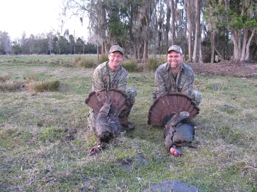 Osceola Turkey Hunts — photograph from the Gunners Taxidermy gallery