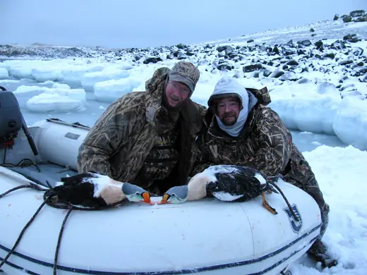 Alaska Sea Duck Hunts — photograph from the Gunners Taxidermy gallery