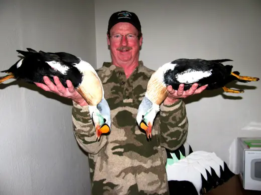 Alaska Sea Duck Hunts — photograph from the Gunners Taxidermy gallery