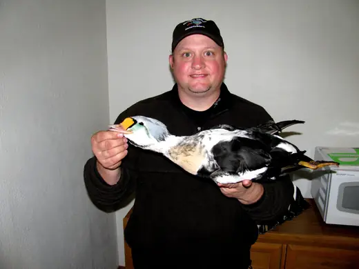 Alaska Sea Duck Hunts — photograph from the Gunners Taxidermy gallery