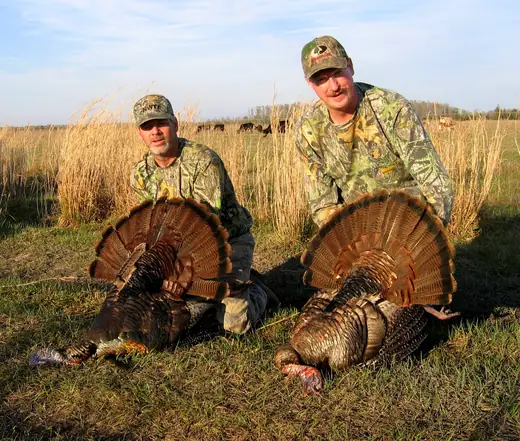 Osceola Turkey Hunts — photograph from the Gunners Taxidermy gallery