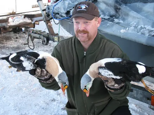 Alaska Sea Duck Hunts — photograph from the Gunners Taxidermy gallery