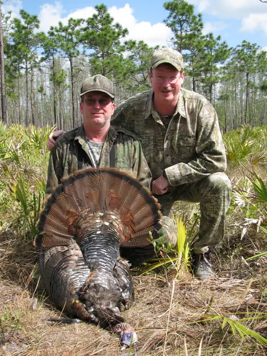 Osceola Turkey Hunts — photograph from the Gunners Taxidermy gallery
