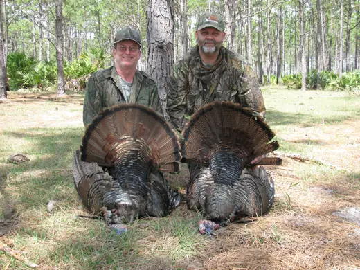 Osceola Turkey Hunts — photograph from the Gunners Taxidermy gallery