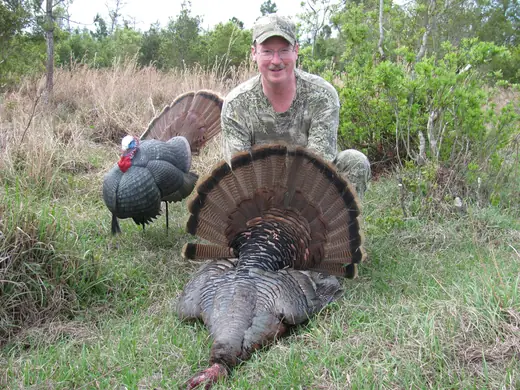 Osceola Turkey Hunts — photograph from the Gunners Taxidermy gallery
