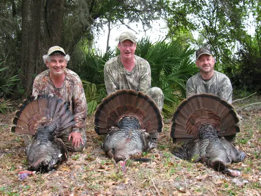 Osceola Turkey Hunts — photograph from the Gunners Taxidermy gallery
