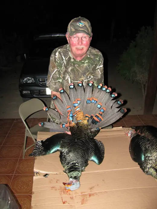 Ocellated Turkey Hunts — photograph from the Gunners Taxidermy gallery