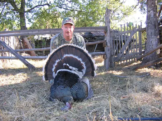 Gould's Turkey Hunts — photograph from the Gunners Taxidermy gallery