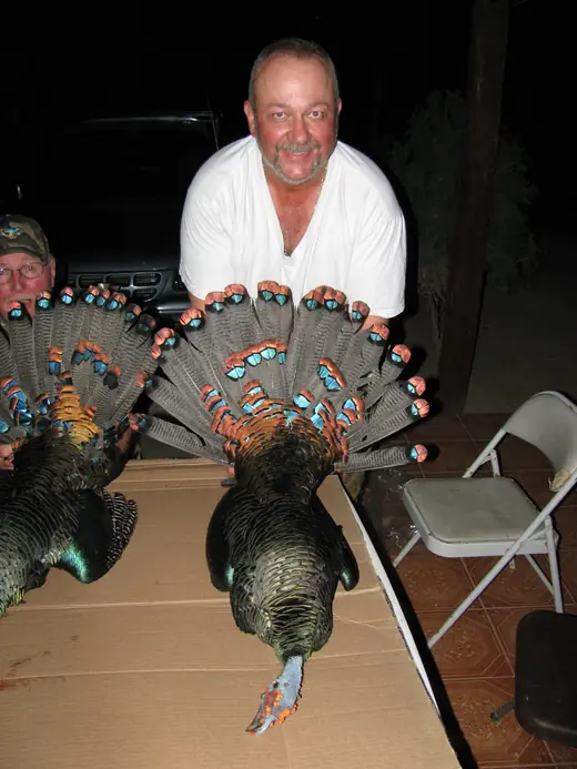 Ocellated Turkey Hunts — photograph from the Gunners Taxidermy gallery