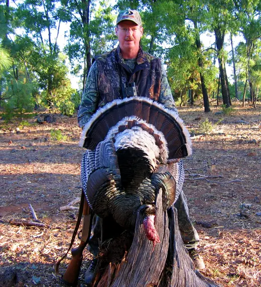 Gould's Turkey Hunts — photograph from the Gunners Taxidermy gallery