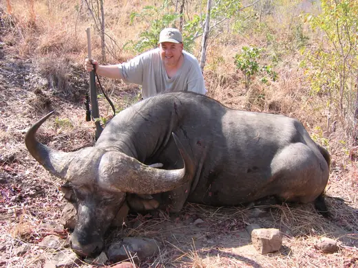 Africa Dangerous Game Hunts — photograph from the Gunners Taxidermy gallery