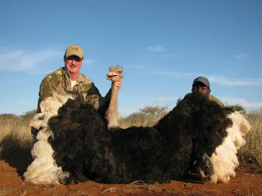 Africa Plains Game Hunts — photograph from the Gunners Taxidermy gallery