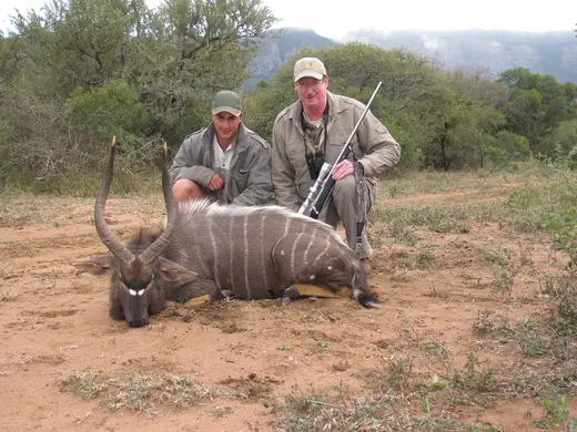 Africa Plains Game Hunts — photograph from the Gunners Taxidermy gallery