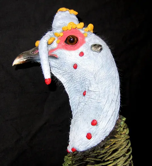 Turkey Taxidermy — photograph from the Gunners Taxidermy gallery