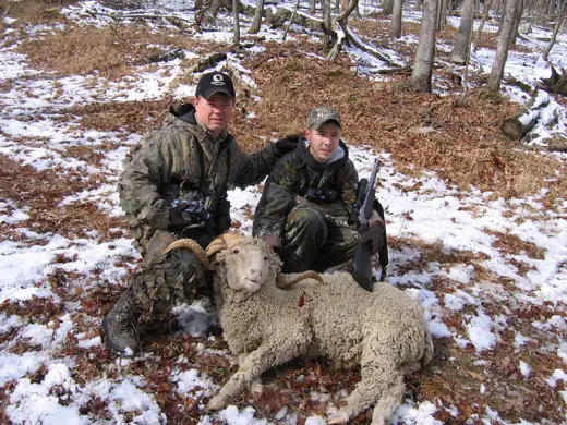 Exotic Hunts — photograph from the Gunners Taxidermy gallery