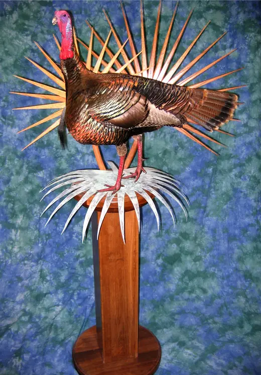 Turkey Taxidermy — photograph from the Gunners Taxidermy gallery