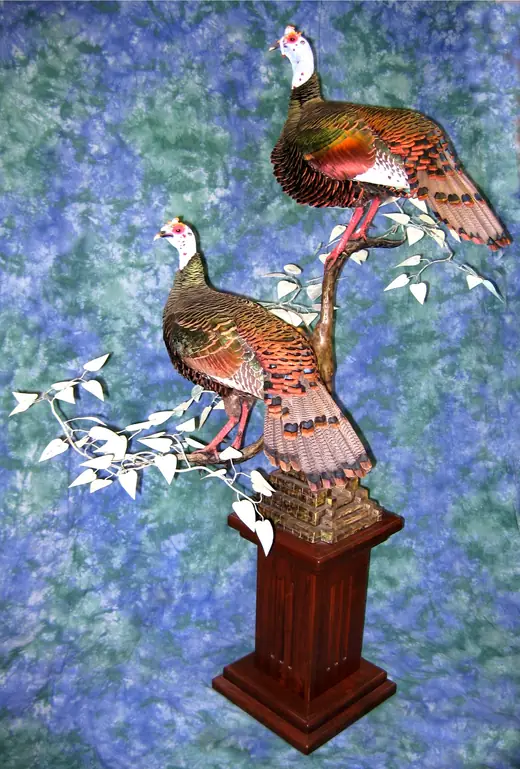 Turkey Taxidermy — photograph from the Gunners Taxidermy gallery