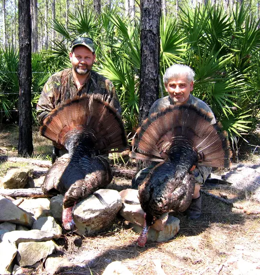 Osceola Turkey Hunts — photograph from the Gunners Taxidermy gallery