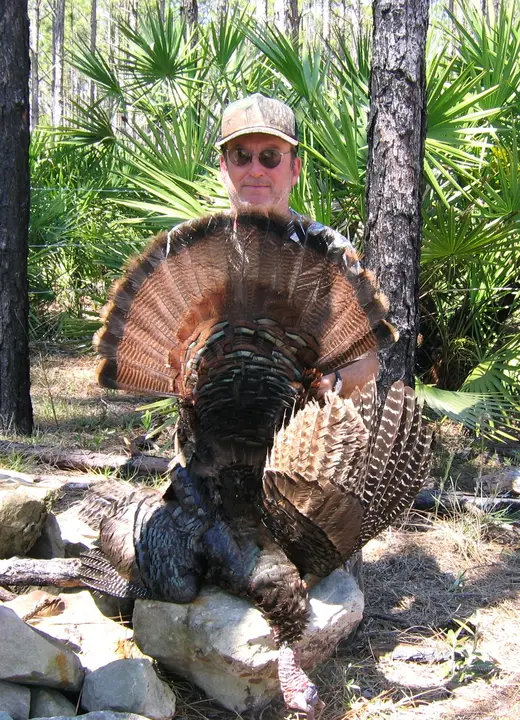 Osceola Turkey Hunts — photograph from the Gunners Taxidermy gallery