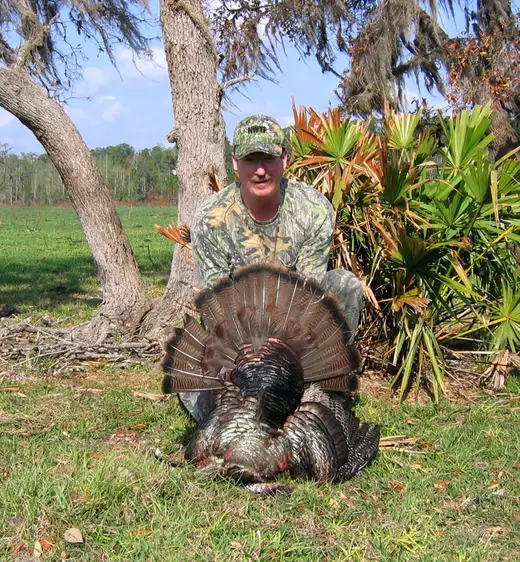 Osceola Turkey Hunts — photograph from the Gunners Taxidermy gallery
