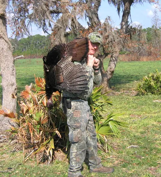 Osceola Turkey Hunts — photograph from the Gunners Taxidermy gallery