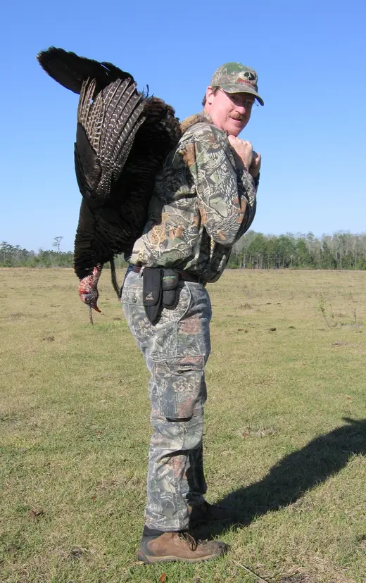 Osceola Turkey Hunts — photograph from the Gunners Taxidermy gallery