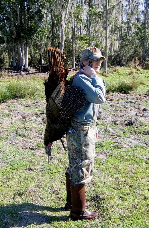 Osceola Turkey Hunts — photograph from the Gunners Taxidermy gallery