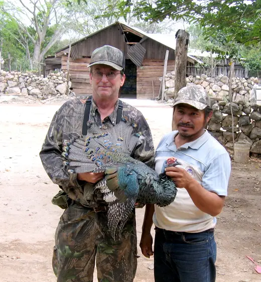 Ocellated Turkey Hunts — photograph from the Gunners Taxidermy gallery