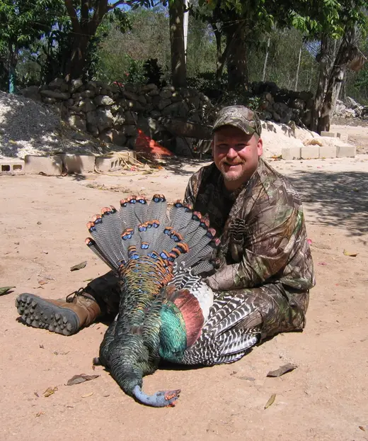 Ocellated Turkey Hunts — photograph from the Gunners Taxidermy gallery