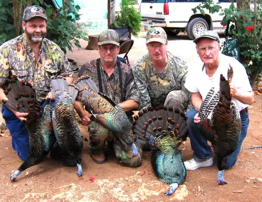 Ocellated Turkey Hunts — photograph from the Gunners Taxidermy gallery