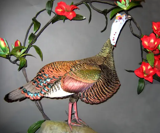 Turkey Taxidermy — photograph from the Gunners Taxidermy gallery
