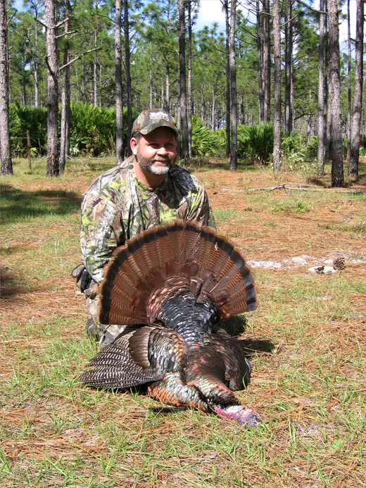 Osceola Turkey Hunts — photograph from the Gunners Taxidermy gallery